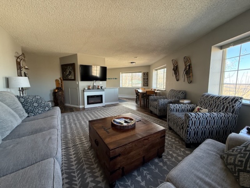 Luxury Condo Living Room